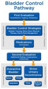 Overactive Bladder Pathway - Urology San Antonio